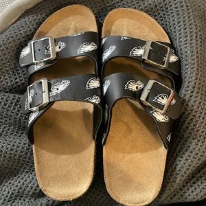 Philadelphia Eagles logo slides